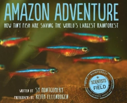 Bertrand.pt - Amazon Adventure