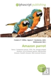 Amazon Parrot