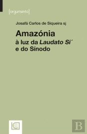Amazónia à Luz da Laudato Si´e do Sínodo