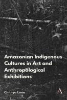 Amazonian Indigenous Cultures In Art And Anthropological Exhibitions
