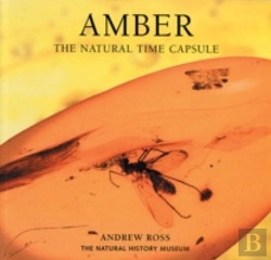 Bertrand.pt - Amber