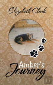 Amber'S Journey