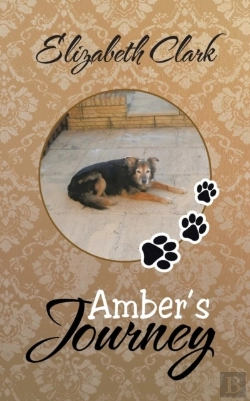 Bertrand.pt - Amber'S Journey