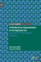Ambidextrous Organizations In The Big Data Era