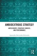 Ambidextrous Strategy