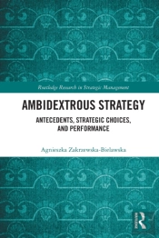 Ambidextrous Strategy