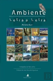 Ambiente Letra a Letra