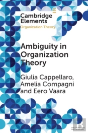 Ambiguity In Organization Theory