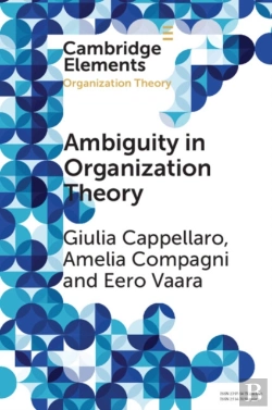 Bertrand.pt - Ambiguity In Organization Theory