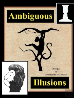 Bertrand.pt - Ambiguous Illusions