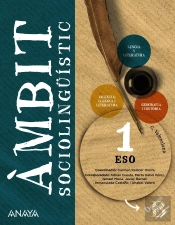 Ambit Sociolinguistic 1r.Eso. Operacio Mon. Valencia 2022
