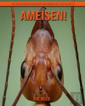 Ameisen! Ein Padagogisches Kinderbuch Uber Ameisen Mit Lustigen Fakten