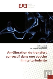 Amelioration Du Transfert Convectif Dans Une Couche Limite Turbulente