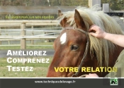 Ameliorez, Comprenez, Testez Votre Relation. En Savoir Plus Sur Nos Equides