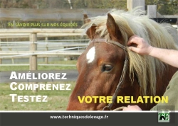 Bertrand.pt - Ameliorez, Comprenez, Testez Votre Relation. En Savoir Plus Sur Nos Equides