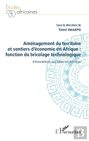 Aménagement Du Territoire Et Sentiers D'Économie En Afrique : Fonction Du Bricolage Technologique ; Innovations Sociales En Afrique
