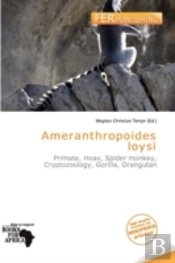 Ameranthropoides Loysi