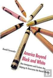 America Beyond Black And White