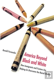 America Beyond Black And White