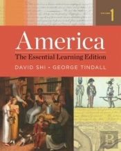 America - The Essential Learning Edition