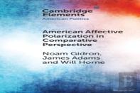 American Affective Polarization In Comparative Perspective
