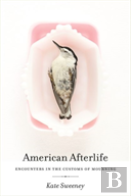 American Afterlife