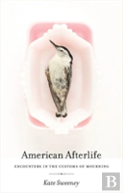American Afterlife
