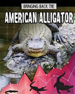 Bertrand.pt - American Alligator