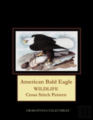 American Bald Eagle