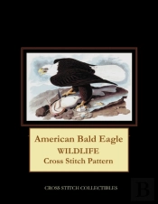 American Bald Eagle