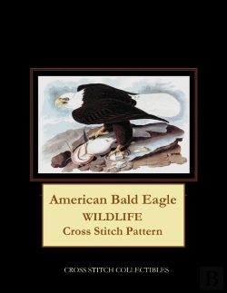 Bertrand.pt - American Bald Eagle