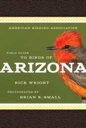 American Birding Association Field Guide To Birds Of Arizona