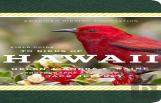 American Birding Association Field Guide To Birds Of Hawaii