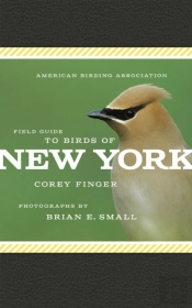 American Birding Association Field Guide To Birds Of New York