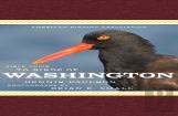 American Birding Association Field Guide To Birds Of Washington