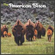 American Bison 2022 Calendar