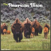 American Bison 2022 Calendar