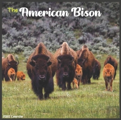 Bertrand.pt - American Bison 2022 Calendar