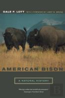 American Bison