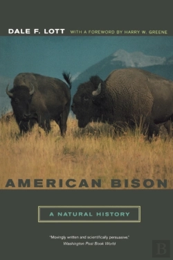 Bertrand.pt - American Bison