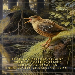 Bertrand.pt - American Bittern Singing Near Delicate Babbling Stream In Canadian Grasslands Of Saskatchewan