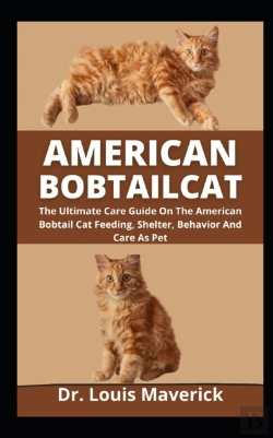 Bertrand.pt - American Bobtail Cat