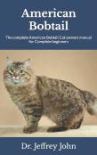 American Bobtail
