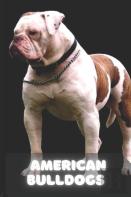 American Bulldog