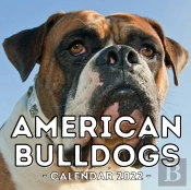 American Bulldogs Calendar 2022