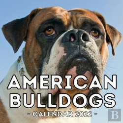 Bertrand.pt - American Bulldogs Calendar 2022