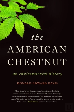 Bertrand.pt - American Chestnut