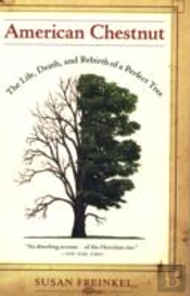 American Chestnut