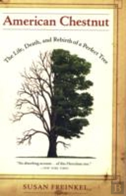Bertrand.pt - American Chestnut