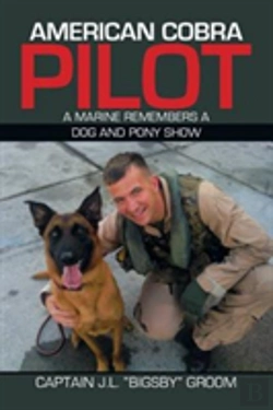 Bertrand.pt - American Cobra Pilot
